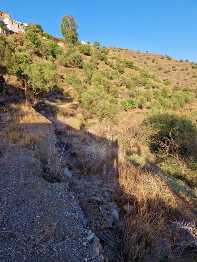 Image No.27-Maison de village de 3 chambres à vendre à Canillas de Aceituno