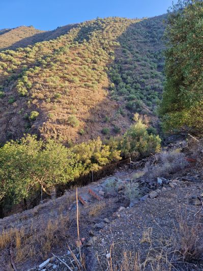 Image No.28-Maison de village de 3 chambres à vendre à Canillas de Aceituno
