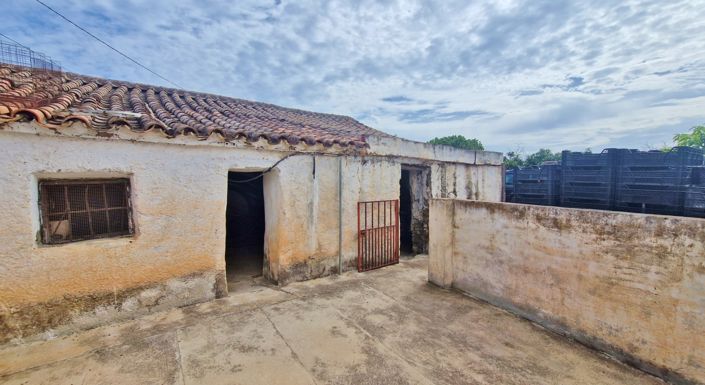 Image No.23-Ferme de 3 chambres à vendre à Trapiche
