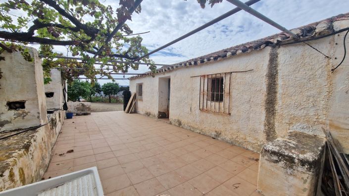 Image No.24-Ferme de 3 chambres à vendre à Trapiche