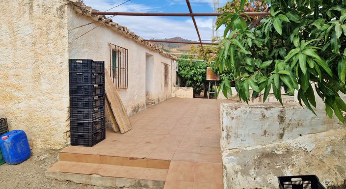 Image No.25-Ferme de 3 chambres à vendre à Trapiche