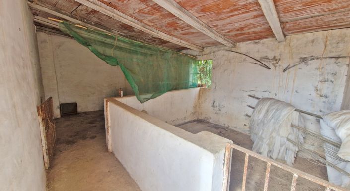 Image No.29-Ferme de 3 chambres à vendre à Trapiche