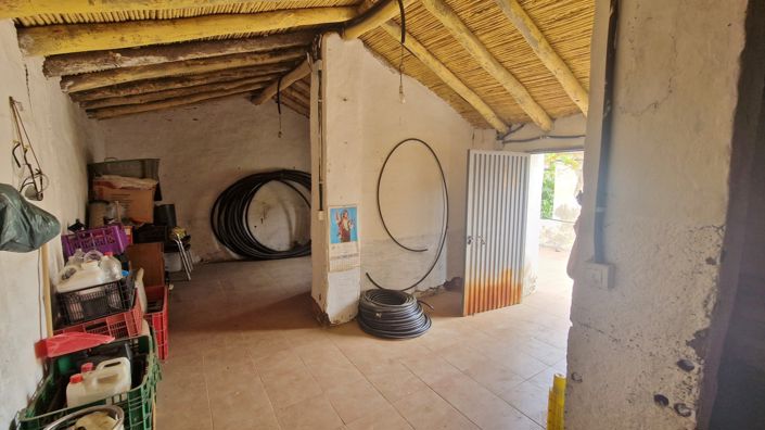 Image No.30-Ferme de 3 chambres à vendre à Trapiche