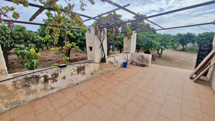 Image No.31-Ferme de 3 chambres à vendre à Trapiche