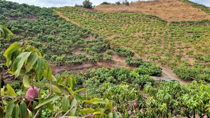 Image No.38-Ferme de 3 chambres à vendre à Trapiche