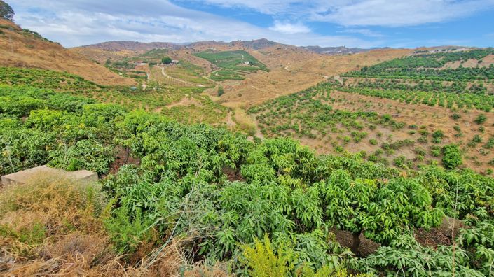 Image No.44-Ferme de 3 chambres à vendre à Trapiche