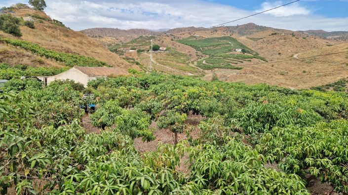 Image No.45-Ferme de 3 chambres à vendre à Trapiche