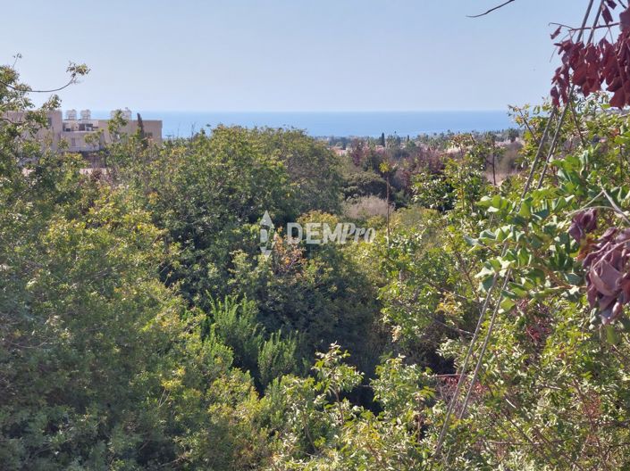 Image No.4-Terrain à vendre à Peyia