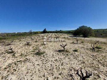 52303-agricultural-land-for-sale-in-kathikasf