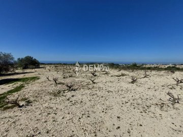52305-agricultural-land-for-sale-in-kathikasf