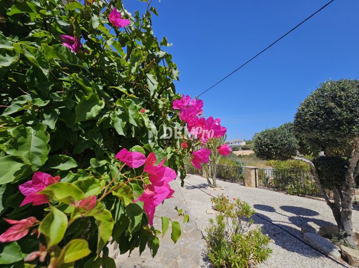 Image No.37-Villa de 3 chambres à vendre à Paphos