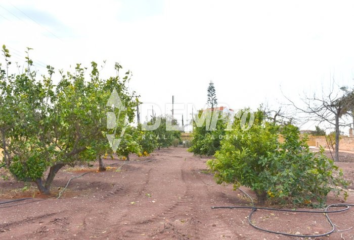 Image No.18-Villa de 3 chambres à vendre à Paphos