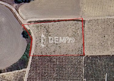 60117-agricultural-land-for-sale-in-polemiful
