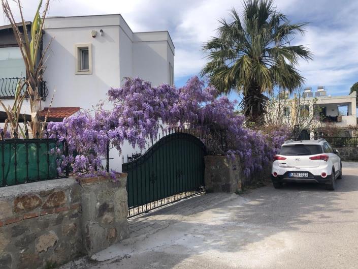 Image No.46-3 Bed Villa / Detached for sale