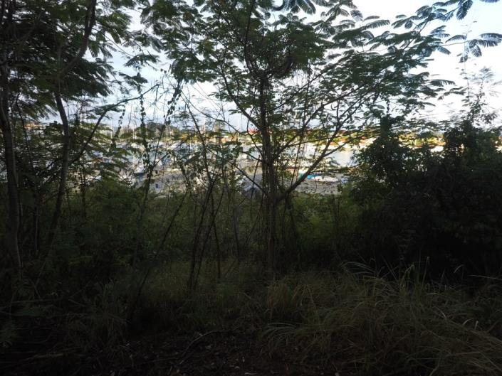 Image No.2-Terre à vendre à Jolly Harbour