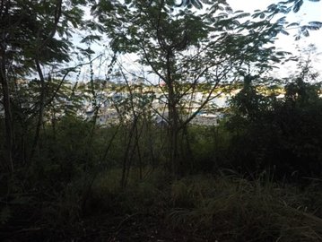 GOPR7388_1551985806615_high