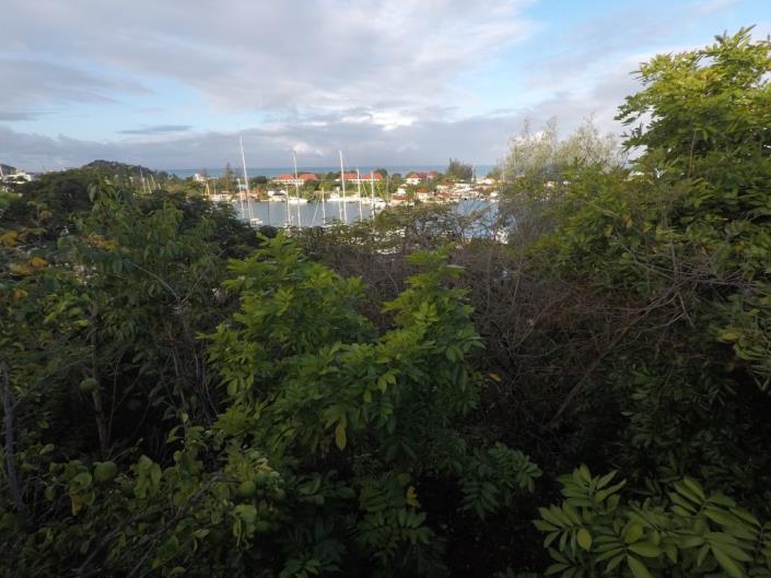 Image No.3-Terre à vendre à Jolly Harbour