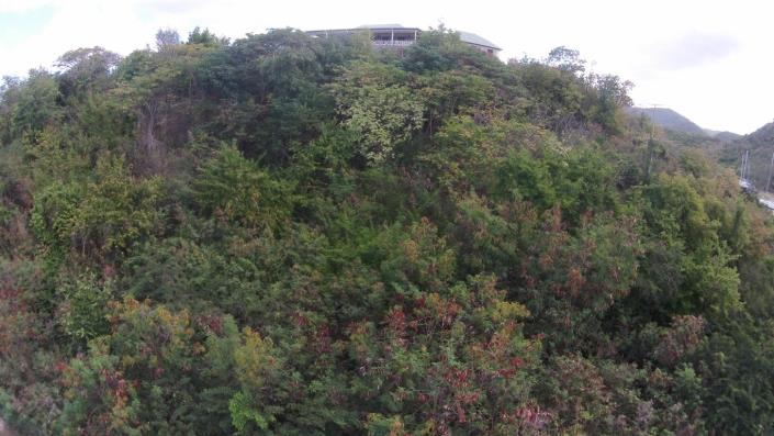 Image No.5-Terre à vendre à Jolly Harbour