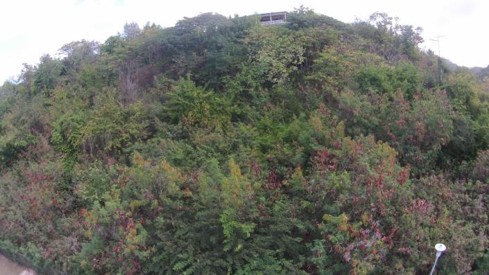 Image No.6-Terre à vendre à Jolly Harbour