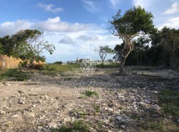 IMG-20200112-WA0029-406x300-1--1-