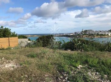 IMG-20200112-WA0034-406x300-1