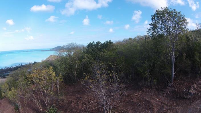 Image No.6-Land for sale