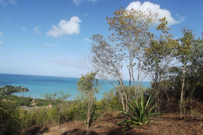 Image No.21-Land for sale