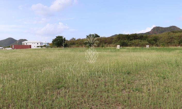 Image No.5-Terre à vendre à Jolly Harbour