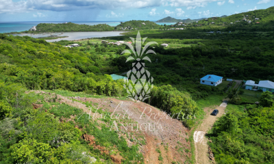 Darkwood-Plot-watermark--2-