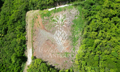 Darkwood-Plot-watermark