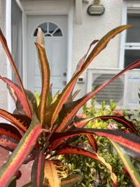 1 - Jolly Harbour, Townhouse