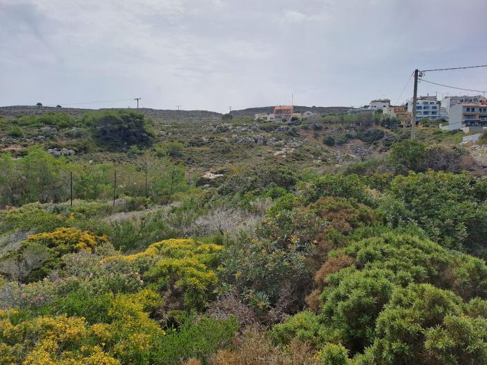 Image No.15-Terre à vendre à Chania