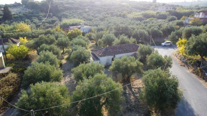 Image No.19-1 Bed House for sale