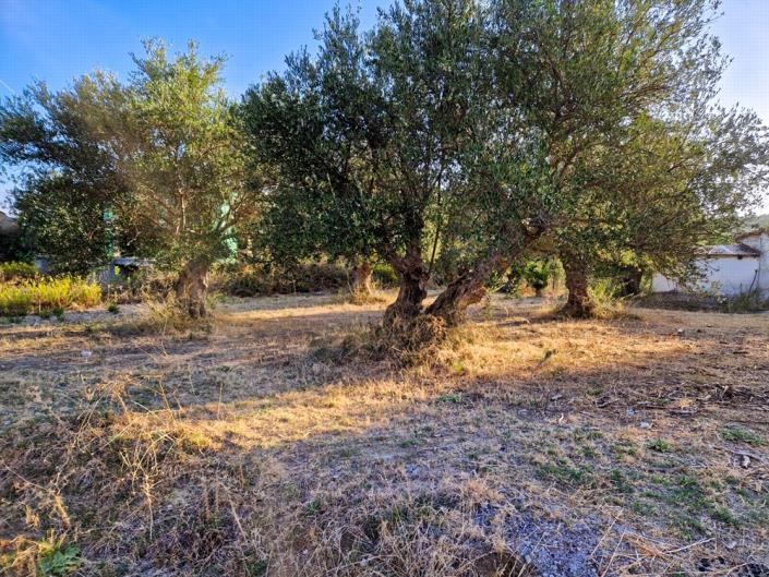 Image No.21-1 Bed House for sale