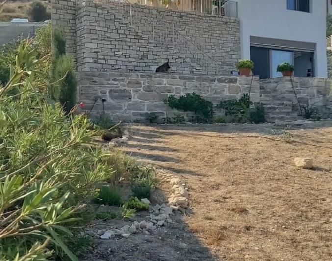 Image No.8-Maison de 2 chambres à vendre à Kamilari