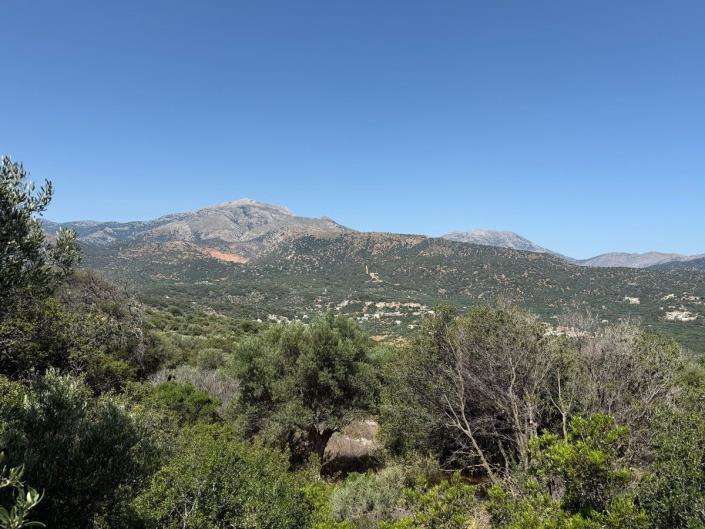 Image No.5-Villa de 4 chambres à vendre à Exo Lakkonia