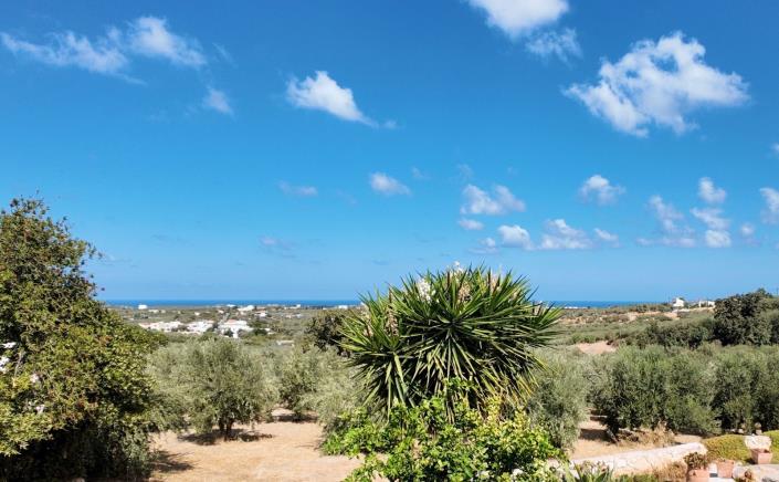 Image No.5-2 Bed Villa for sale