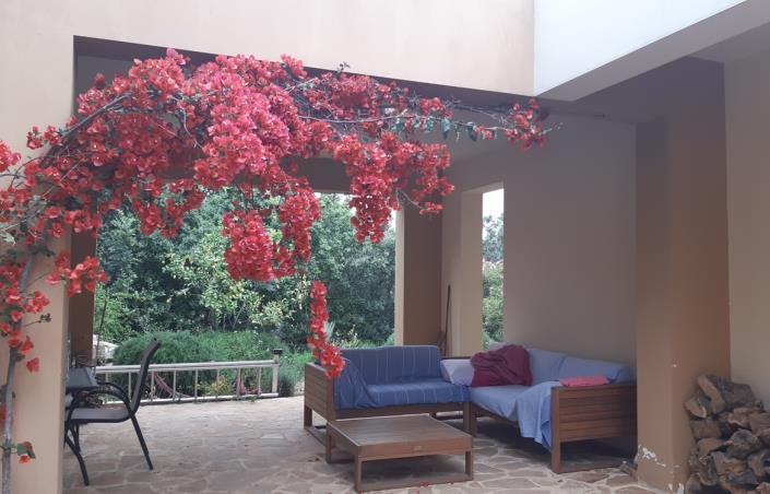 Image No.49-Villa de 3 chambres à vendre à Douliana