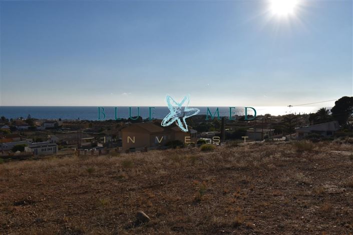 Image No.2-Terrain à vendre à Isla Plana