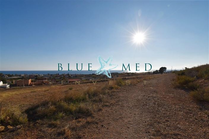 Image No.9-Terrain à vendre à Isla Plana