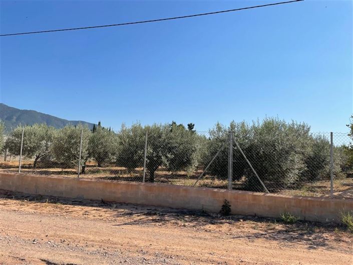 Image No.4-Maison de campagne de 2 chambres à vendre à Librilla