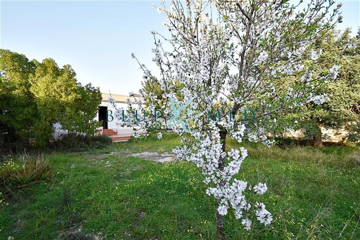 Image No.27-Maison de campagne de 3 chambres à vendre à Cartagena