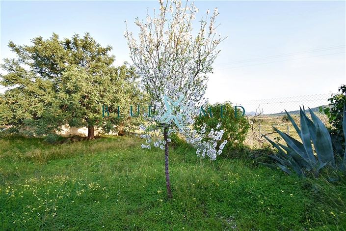 Image No.28-Maison de campagne de 3 chambres à vendre à Cartagena