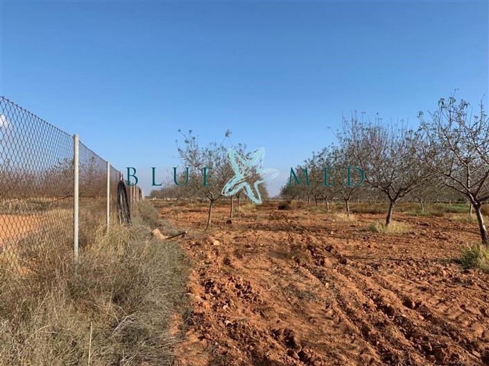 Image No.11-Land for sale