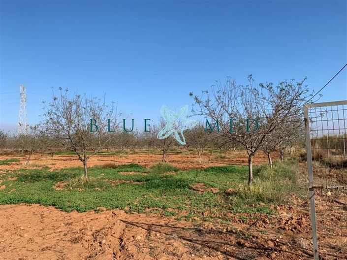 Image No.2-Land for sale