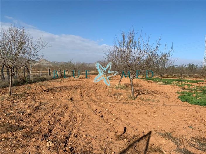 Image No.3-Land for sale