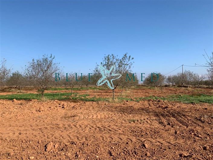 Image No.4-Land for sale