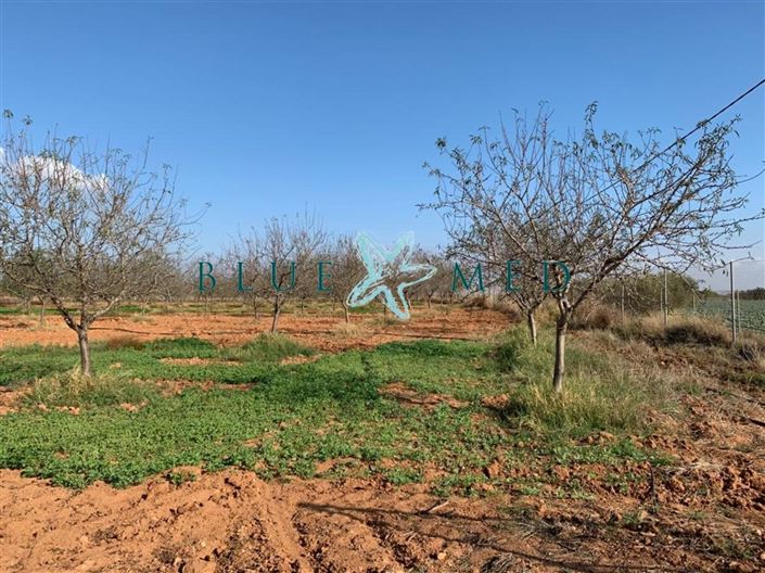 Image No.7-Land for sale