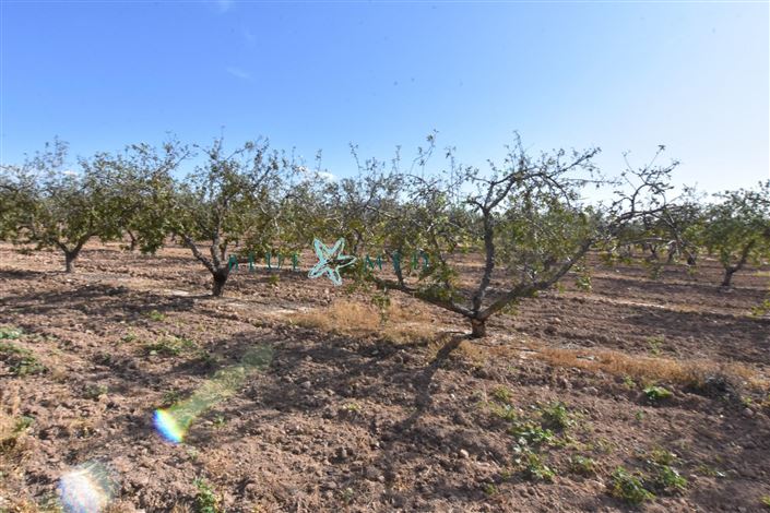 Image No.10-Maison de campagne de 8 chambres à vendre à Mazarron