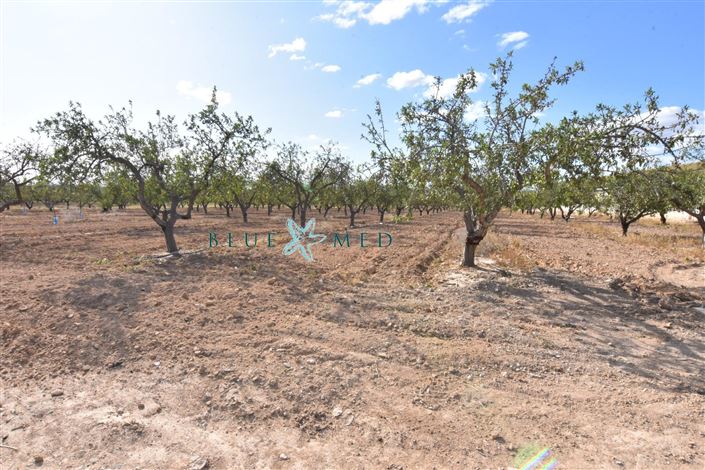 Image No.12-Maison de campagne de 8 chambres à vendre à Mazarron